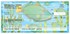 Exotic Fish Checks Image 4